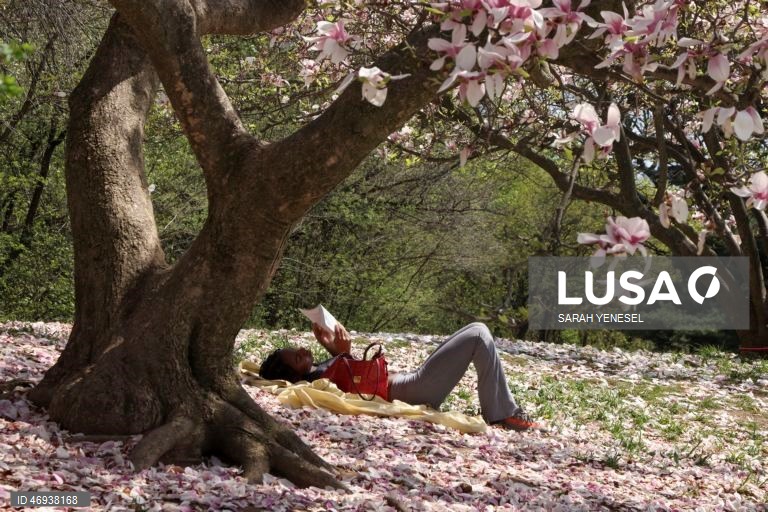 EUA: Primavera em Nova Iorque