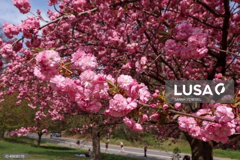 EUA: Primavera em Nova Iorque