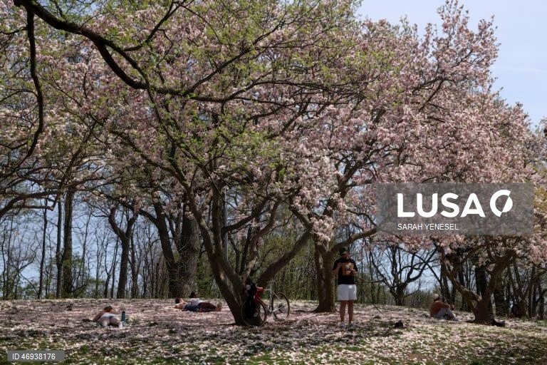 EUA: Primavera em Nova Iorque