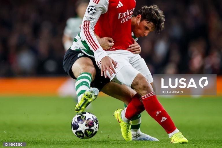 Liga dos Campeões: Arsenal vs Sporting