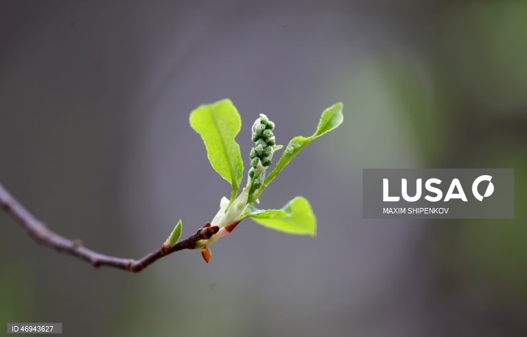 Rússia: Primavera em Moscovo