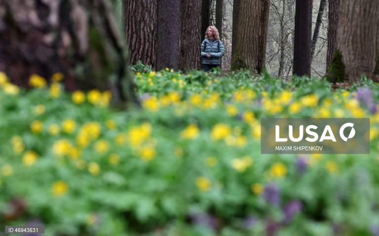 Rússia: Primavera em Moscovo