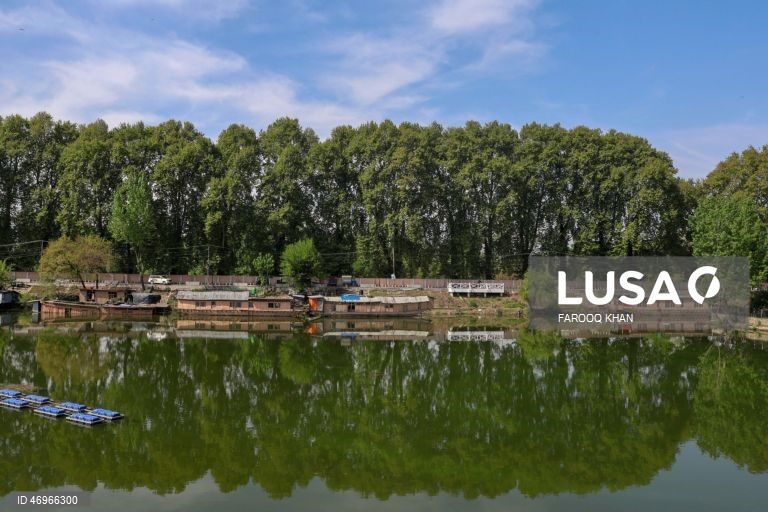 Índia: Lago Dal em Srinagar na Caxemira indiana