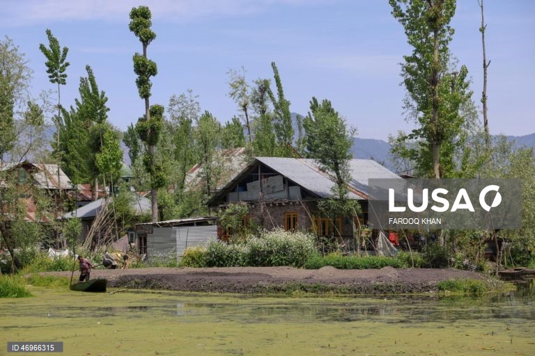 Índia: Lago Dal em Srinagar na Caxemira indiana