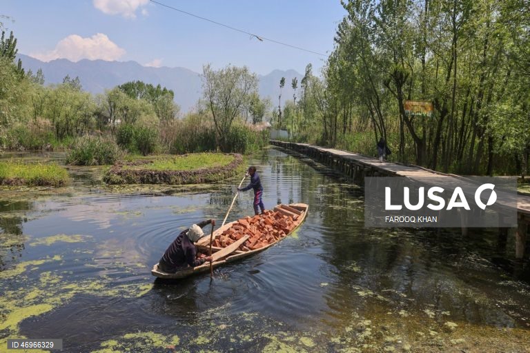 Índia: Lago Dal em Srinagar na Caxemira indiana