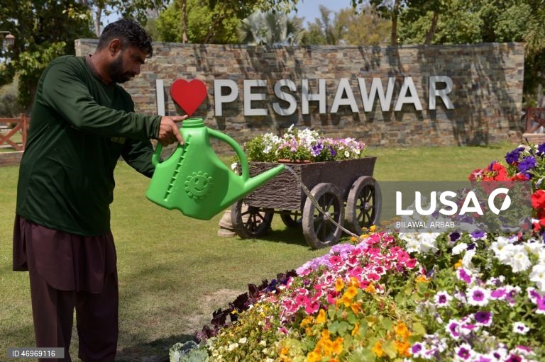 Paquistão: Dia Mundial da Terra em Peshawar