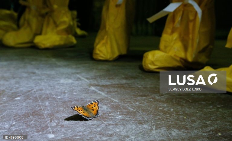 Ucrânia: Chernobyl, 40 anos do desastre nuclear