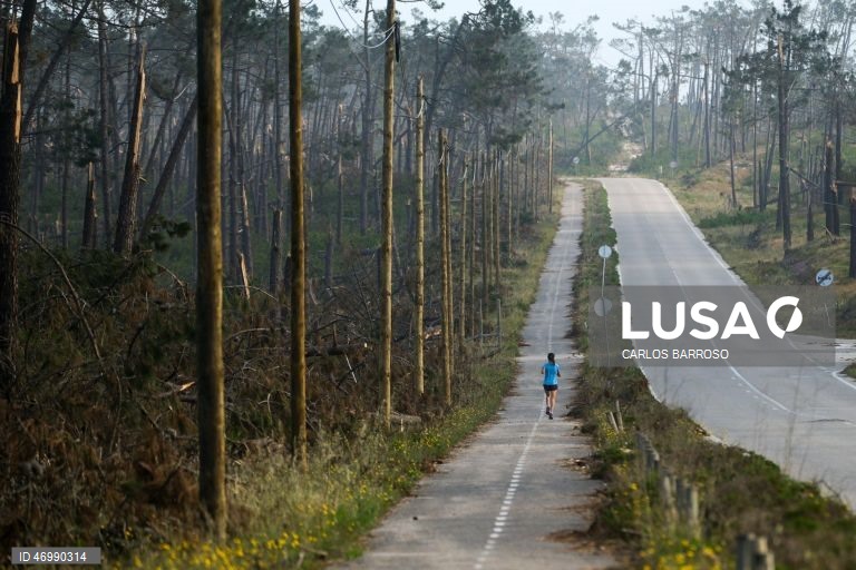 A estrada Atlântica que liga Nazaré à Praia de São Pedro de Moel, na Marinha Grande, 24 de abril de 2026. As pessoas ainda aguardam que a vida volte ao normal na zona do Pinhal de Leiria, depois da passagem da tempestade Kristin a 28 de fevereiro. (ACOMPANHA TEXTO DE 27 DE ABRIL DE 2026). CARLOS BARROSO/LUSA