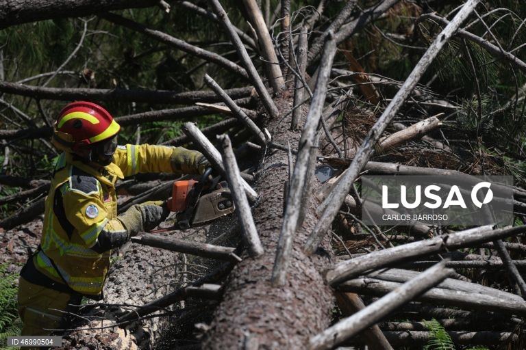 Sapadores florestais cortam arvores para garantir acessos aos pinhais em caso de emergências, em Marinha Grande, 24 de abril de 2026. As pessoas ainda aguardam que a vida volte ao normal na zona do Pinhal de Leiria, depois da passagem da tempestade Kristin a 28 de fevereiro. (ACOMPANHA TEXTO DE 27 DE ABRIL DE 2026). CARLOS BARROSO/LUSA