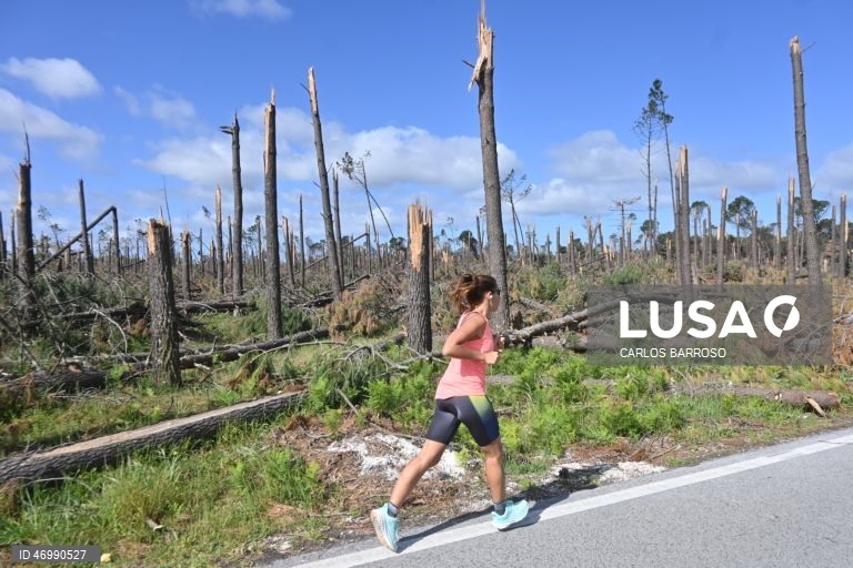 Imagens do Pinhal de Leiria na zona da Marinha Grande onde há ainda muito trabalho a realizar pelas autoridades, 24 de abril de 2026. As pessoas ainda aguardam que a vida volte ao normal na zona do Pinhal de Leiria, depois da passagem da tempestade Kristin a 28 de fevereiro. (ACOMPANHA TEXTO DE 27 DE ABRIL DE 2026). CARLOS BARROSO/LUSA