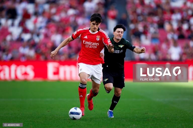 Benfica vs Moreirense