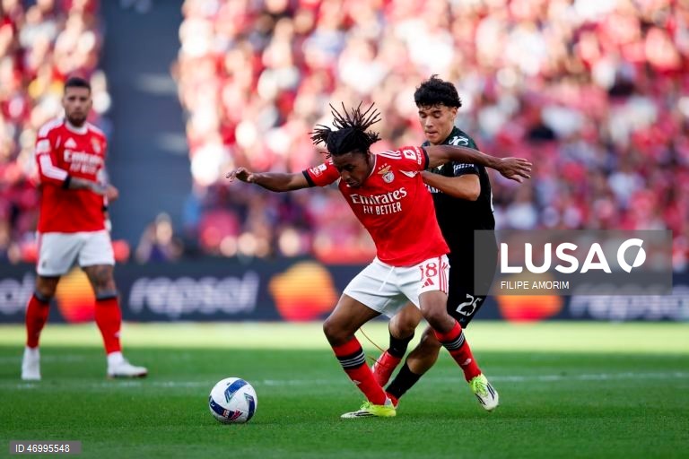 Benfica vs Moreirense