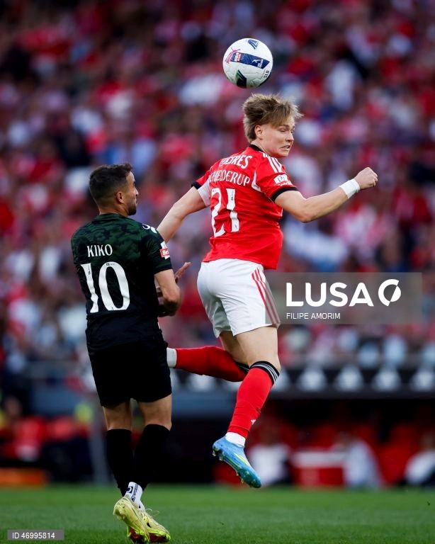 Benfica vs Moreirense