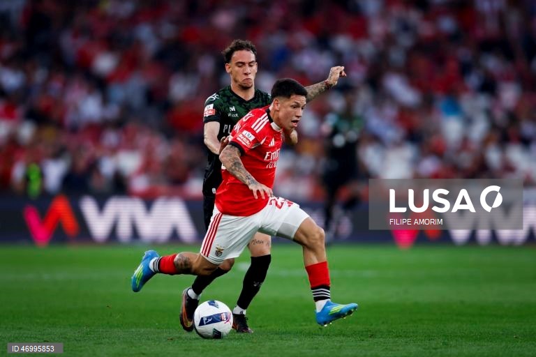 Benfica vs Moreirense