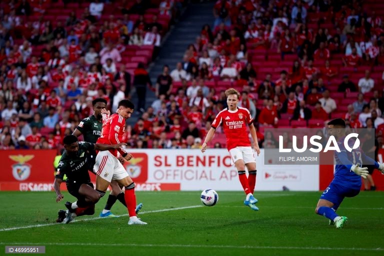 Benfica vs Moreirense