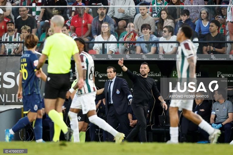 Estrela da Amadora vs FC Porto