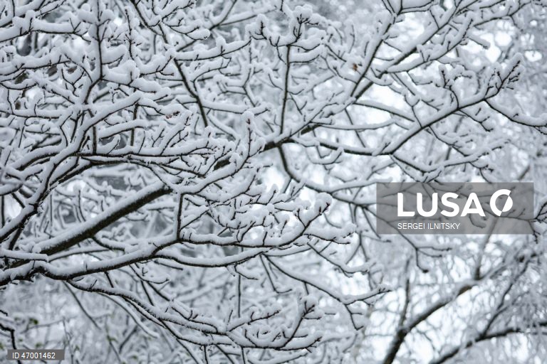 Rússia: Queda de neve em Moscovo