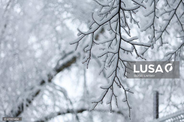 Rússia: Queda de neve em Moscovo