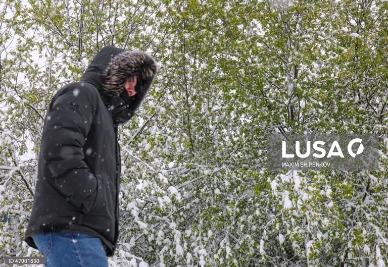 Rússia: Queda de neve em Moscovo