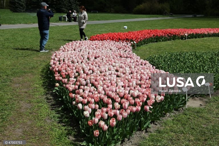 Polónia: Tulipas no Jardim Botânico de Lodz