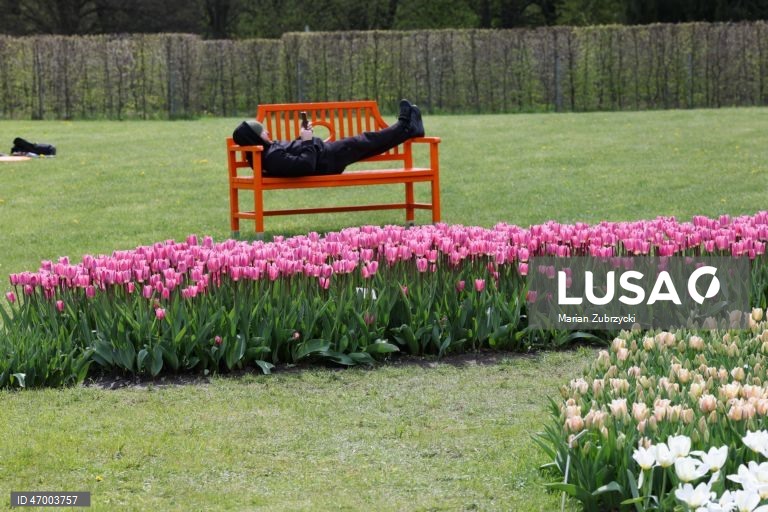 Polónia: Tulipas no Jardim Botânico de Lodz