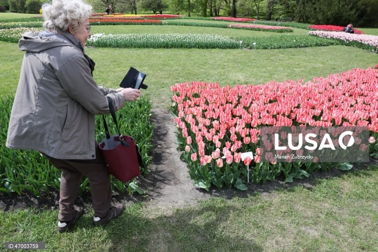 Polónia: Tulipas no Jardim Botânico de Lodz