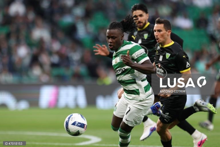 I Liga: Sporting vs Tondela