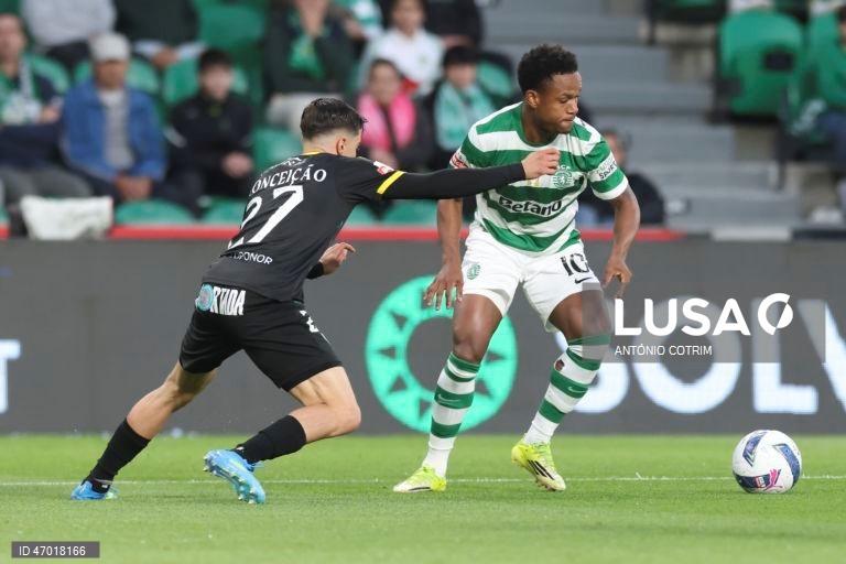 I Liga: Sporting vs Tondela