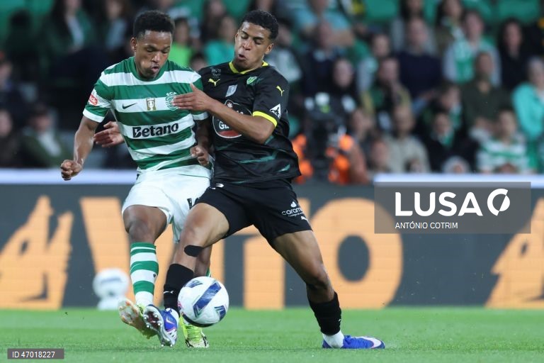 I Liga: Sporting vs Tondela