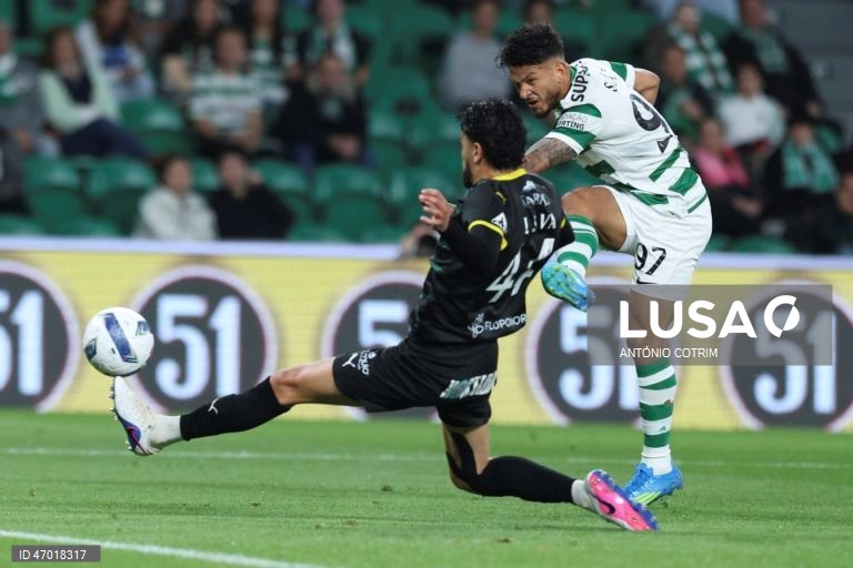 I Liga: Sporting vs Tondela