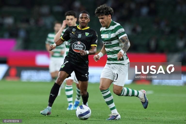 I Liga: Sporting vs Tondela