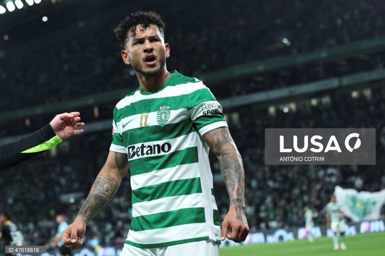 I Liga: Sporting vs Tondela