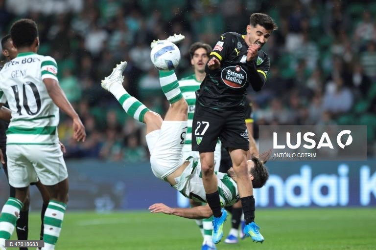 I Liga: Sporting vs Tondela