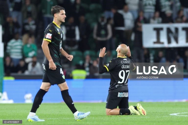 I Liga: Sporting vs Tondela