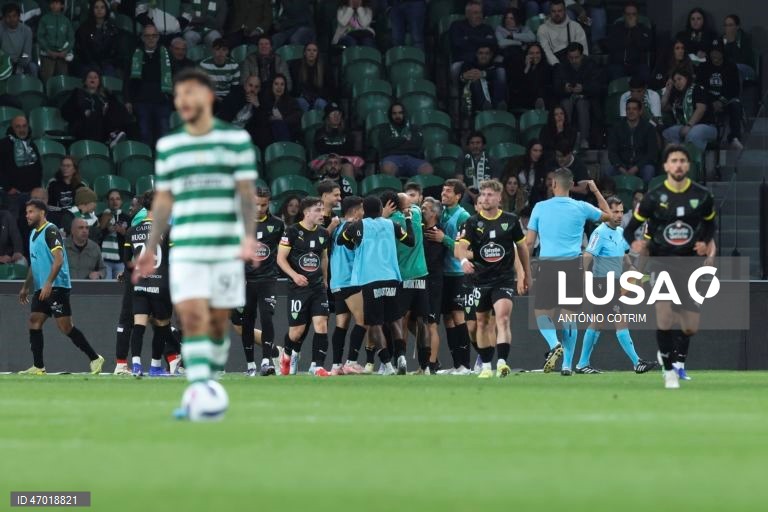 I Liga: Sporting vs Tondela
