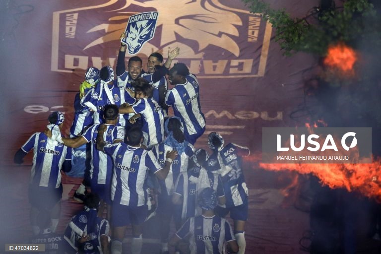 O FC Porto sagrou-se hoje campeão nacional de futebol pela 31.ª vez na sua história, após vitória frente ao Alverca, por 1-0.