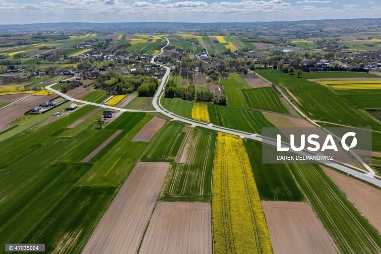 Vista de um campo de colza em flor perto de Zuklin, no sudeste da Polónia.  A Polónia é um dos principais produtores da UE de colza para óleos alimentares de alta qualidade e biocombustíveis sustentáveis.