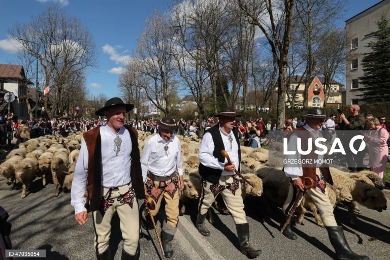 As pessoas observam enquanto ovelhas acompanhadas por pastores são conduzidas para pastagens de montanha durante a transumância de primavera (redyk) para Gorna Rowien Krupowa, no sul da Polónia. O Redyk, que se realiza nas Montanhas Tatra todas as primaveras, era no passado um evento muito apreciado, considerado um dos festivais anuais mais importantes na cultura dos pastores locais. 