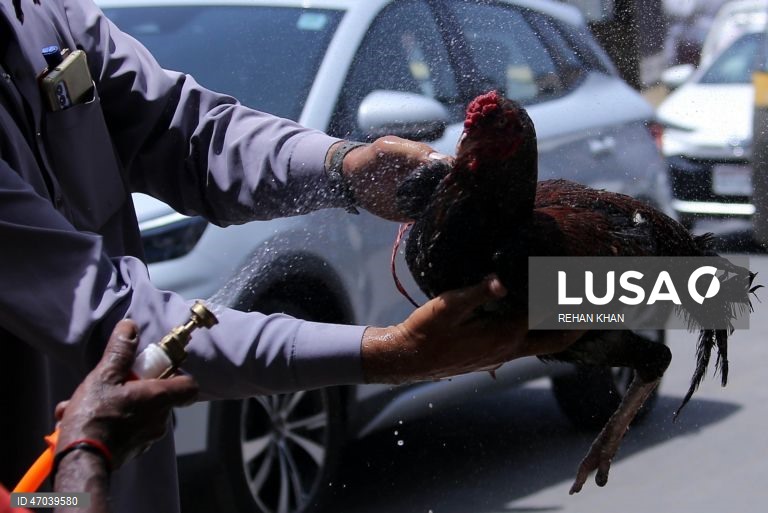 Paquistão: Alerta de onda de calor emitido para Carachi