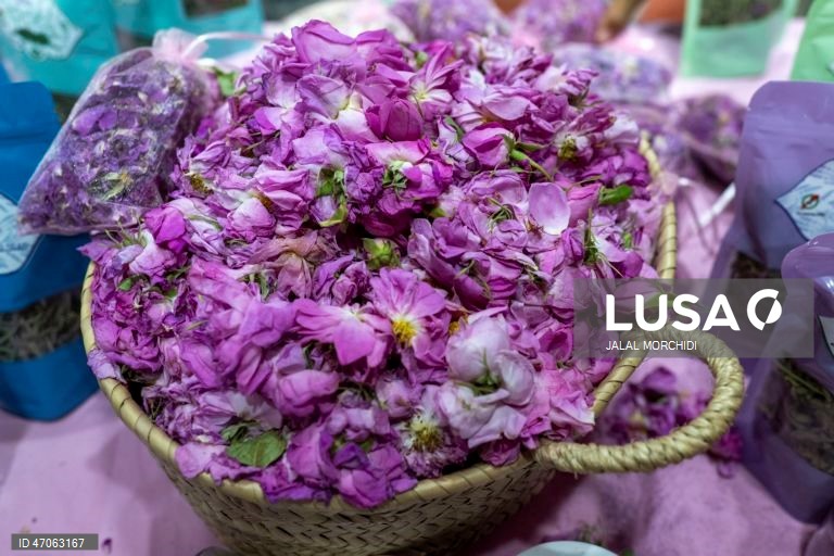 Marrocos: Festival das Rosas em Kelaat M`Gouna