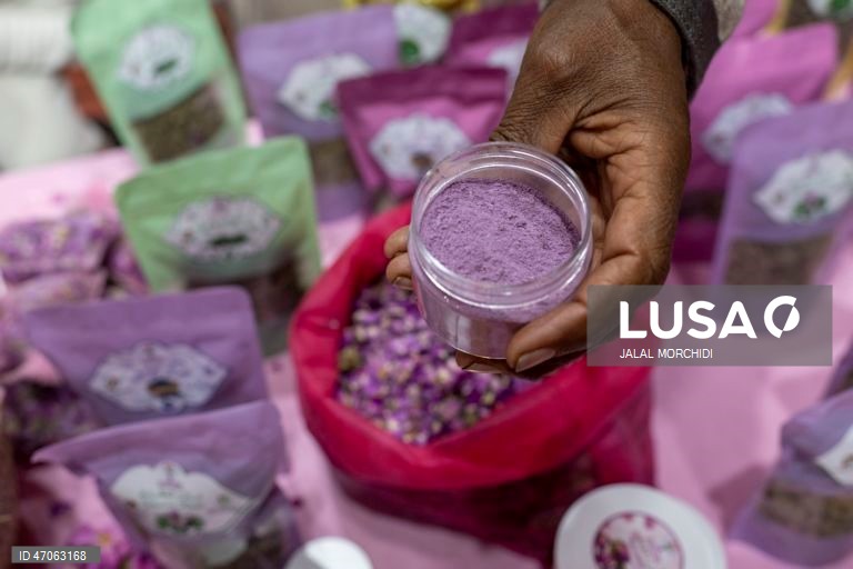 Marrocos: Festival das Rosas em Kelaat M`Gouna
