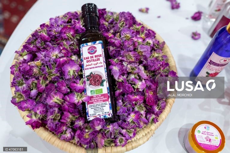 Marrocos: Festival das Rosas em Kelaat M`Gouna