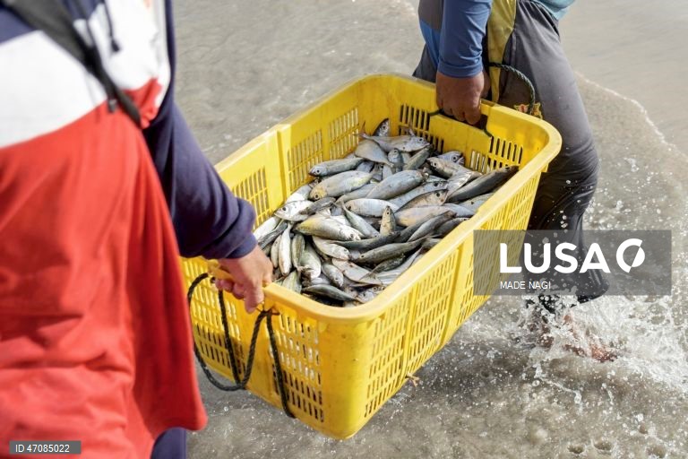 Indonésia: Pesca artesanal no Bali