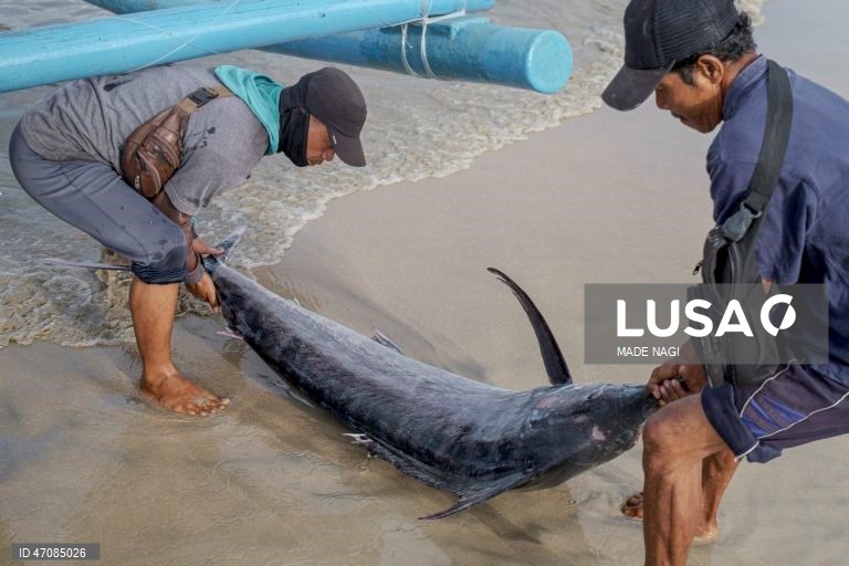 Indonésia: Pesca artesanal no Bali