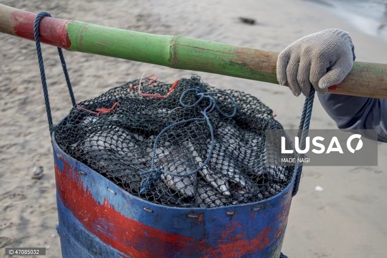 Indonésia: Pesca artesanal no Bali