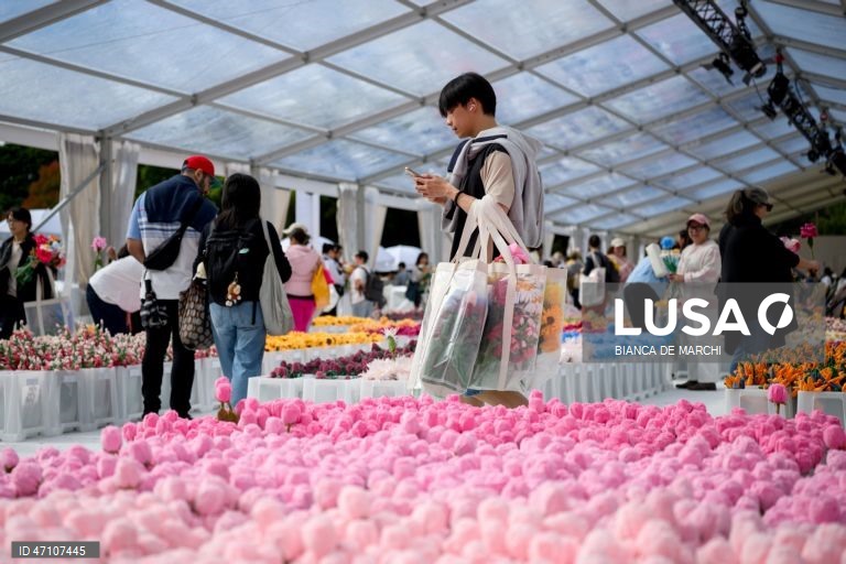 Austrália: Mercado de flores em Sydney
