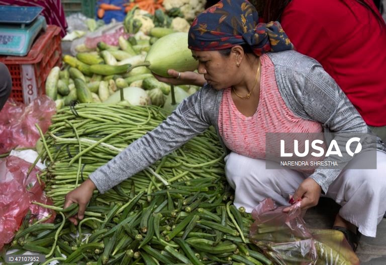 Nepal: Vida quotidiana em Catmandu