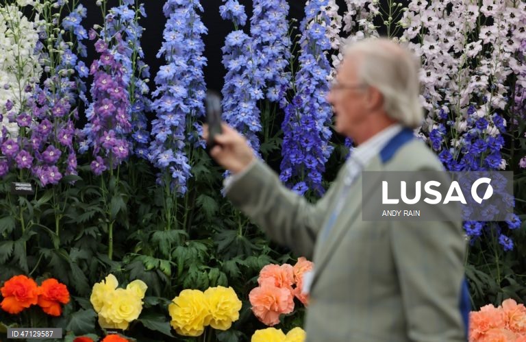 Reino Unido: Festival das Flores de Chelsea 2026