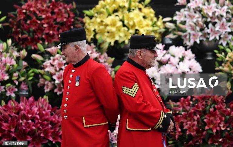 Reino Unido: Festival das Flores de Chelsea 2026