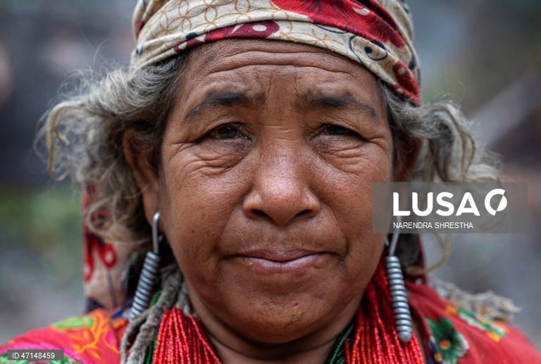 Dia Mundial da Diversidade Cultural para o Diálogo e o Desenvolvimento